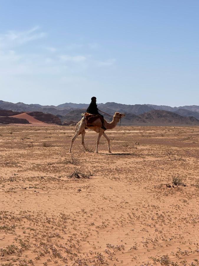 Wadi Rum Desert Camp Eksteriør bilde