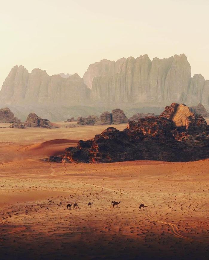 Wadi Rum Desert Camp Eksteriør bilde